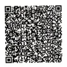 UPI QR Code